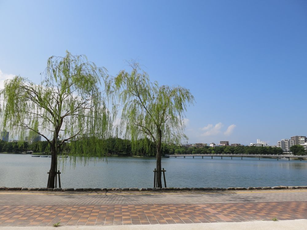 Ohori Park