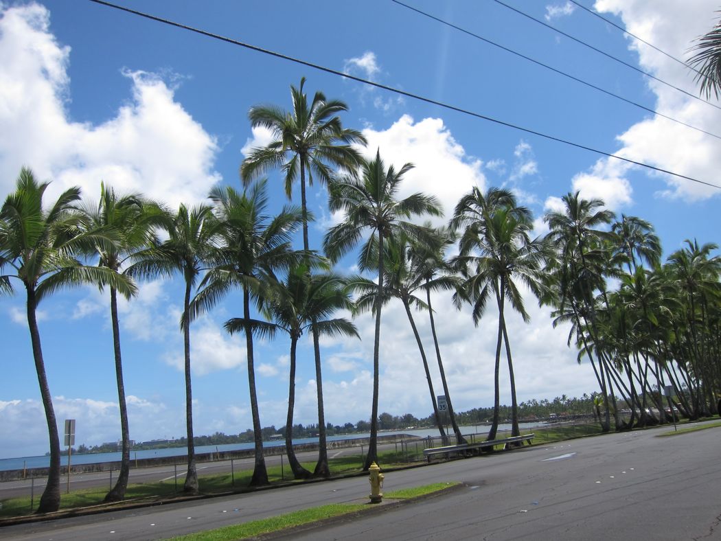 Old Hilo Town
