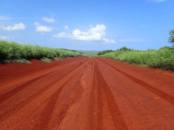 The start of the red dirt road to the Mo‘omomi Preserve