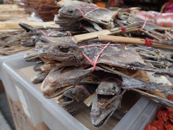 This, though, I won't be eating anytime soon. We found these dried lizards on a stick. No thanks.