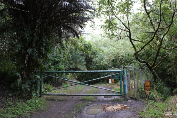 The start of the trailhead, located in Moanalua Valley Park.