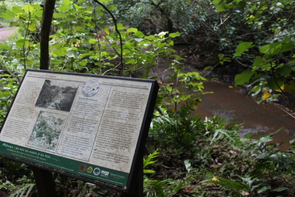 Along the first part of the trail are informational signs that talk about the area, from the streams to the native plants that grow here. Very cool!