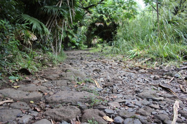 Along the first part of the trail, there are sections of an old cobblestone road.