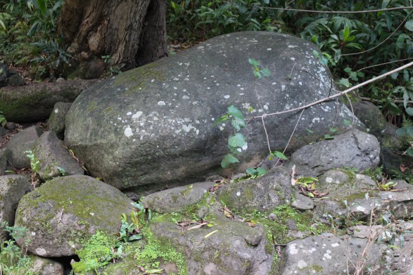 There's even a petroglyph here, a stone called Pōhakukaluahine, visible from the trail.