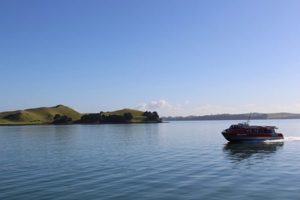 The passenger ferry to Waiheke is twice as fast — 30 minutes — than the one that takes vehicles over.