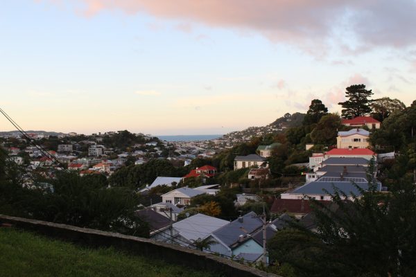 The view of Hataitai from our rental.