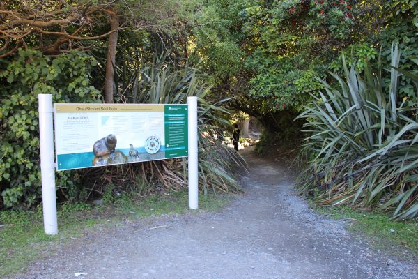 The start of Ohau Stream Walk, where you can see fur seals in the wild.