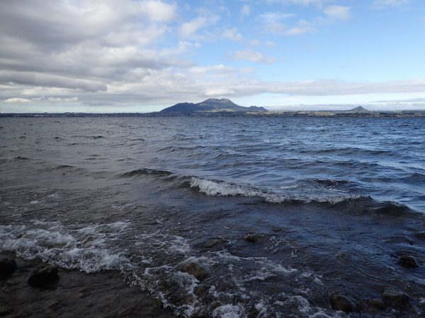 You can fish all along the shoreline of Lake Taupō.